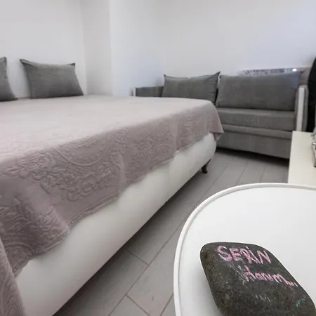 Amazing Duplex House With Sea View In Bodrum